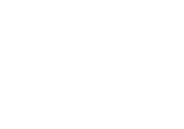 Lakewood Landscape & Construction LLC logo