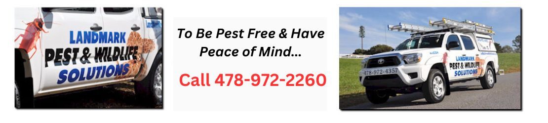 LandMark Pest and Wildlife Solutions logo