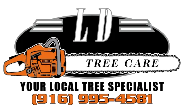 LD Tree Care logo