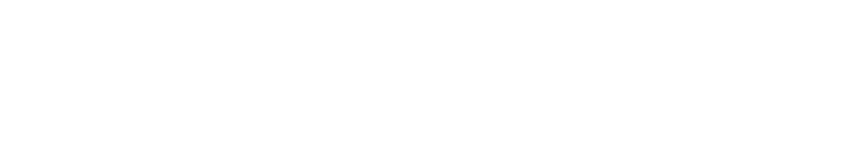 Lightspeed Security & Surveillance logo