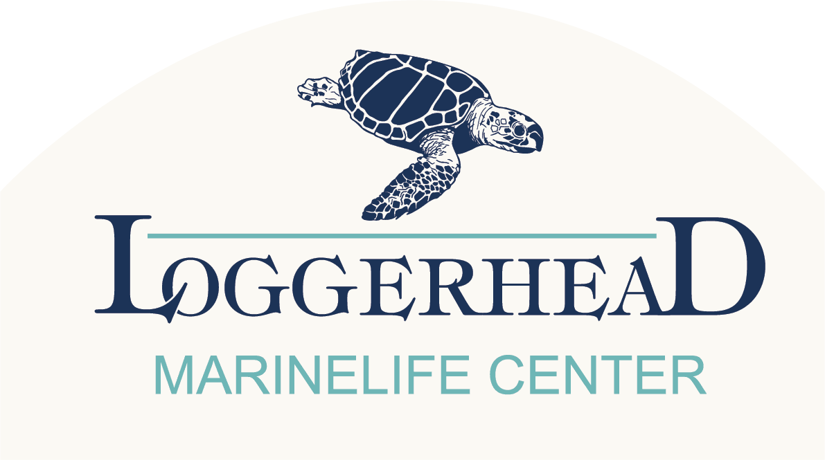 Loggerhead Marinelife Center logo