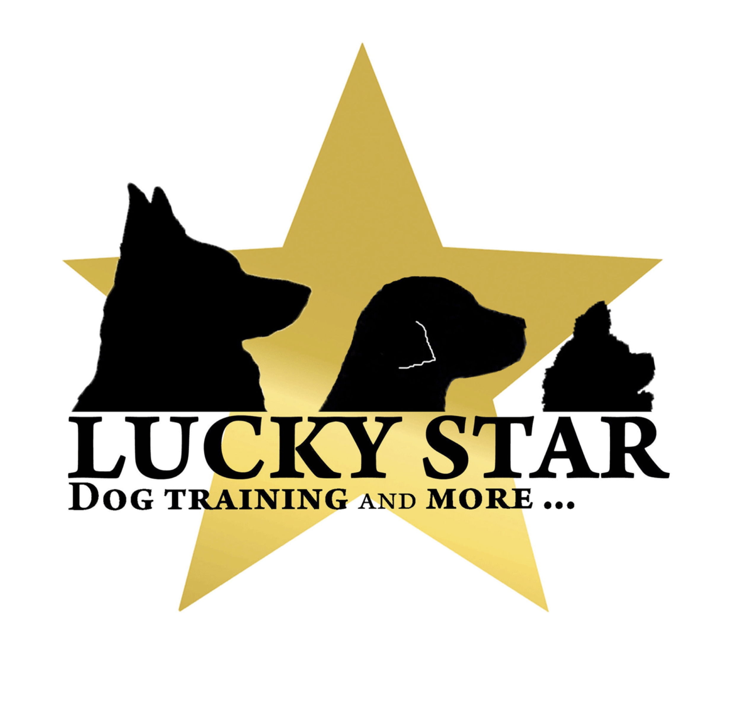 Lucky Star Dog Training logo