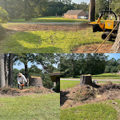 MAD Stump Grinding and More LLC logo
