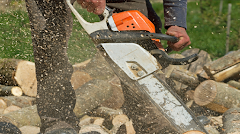 Maple Springs Tree Service logo