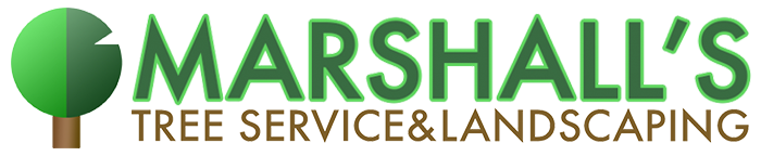 Marshall's Tree Service & Landscaping logo