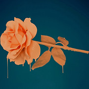 MaxCharles Hair Studio logo