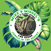 Mike & Miguel Fish & Plant Store logo