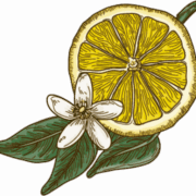 Mills Catering LLC logo