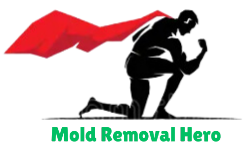 Mold Removal Hero logo