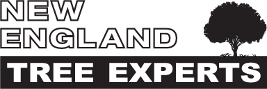 New England Tree Experts logo