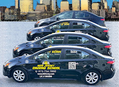 New Jersey Driving School logo