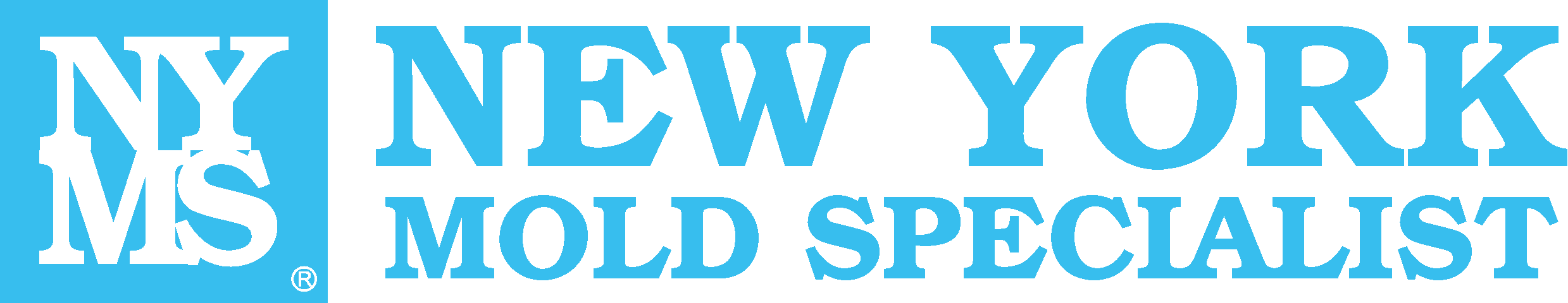 New York Mold Specialist logo