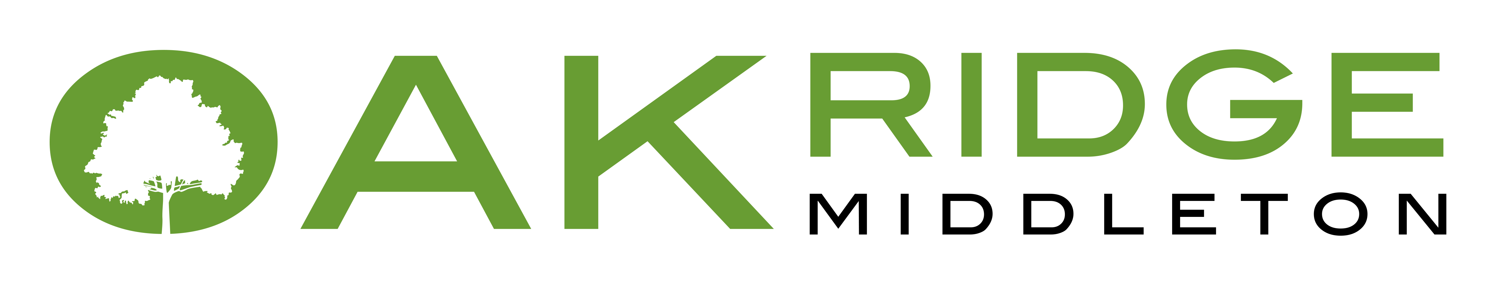 Oak Ridge Senior logo
