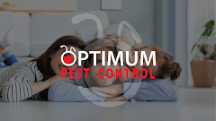 Optimum Pest Control logo