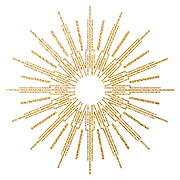Ora Wellness logo