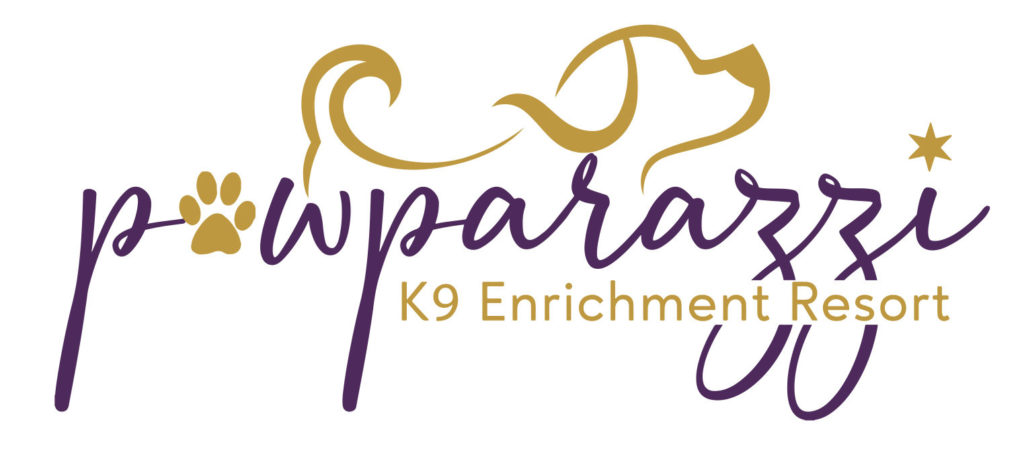 Pawparazzi K9 Enrichment Resort logo