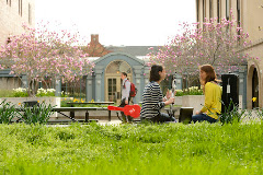 Peabody Institute of The Johns Hopkins University logo