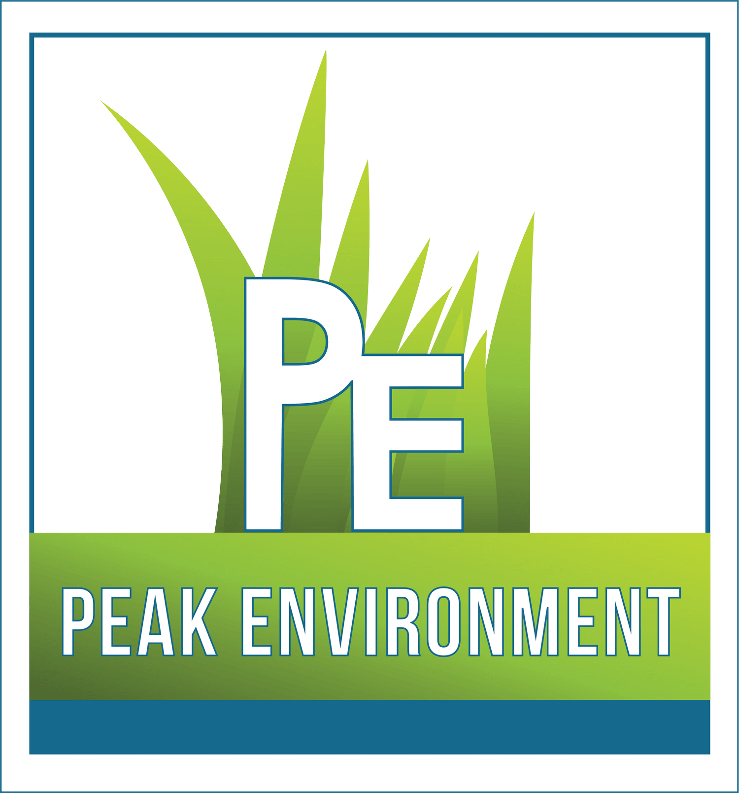 Peak Environment logo