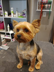 Pet Strands Grooming logo