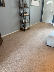 Pioneer Professional Carpet Care logo