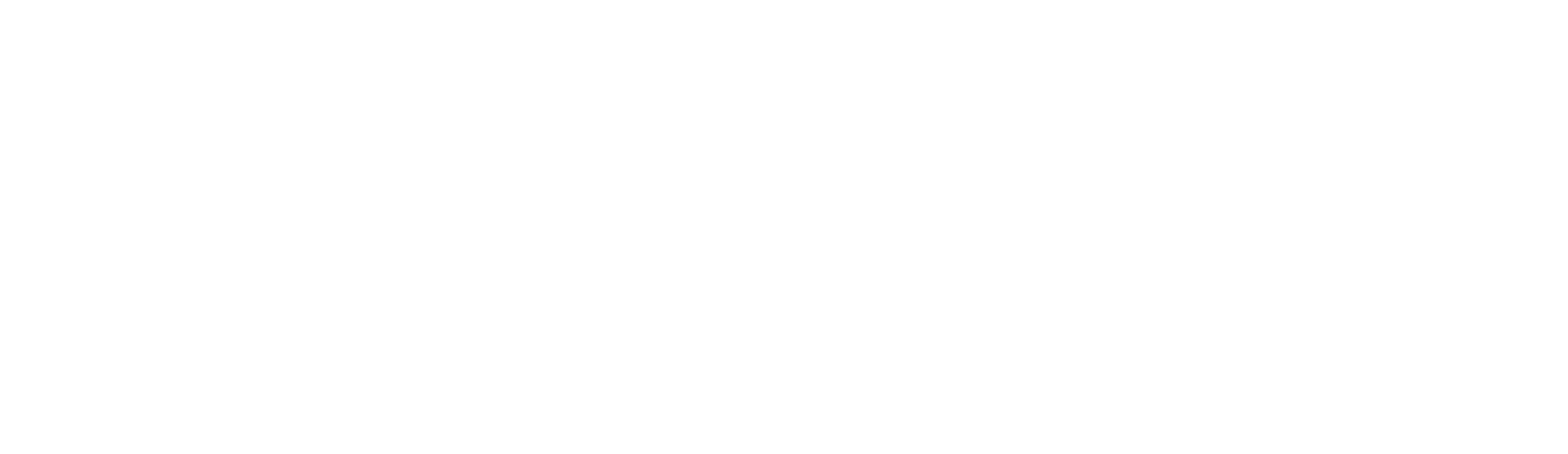 Precision Accounting Intl LLC | Amr M. Ibrahim CPA, CGMA logo