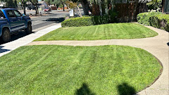 Precision Lawn Care logo