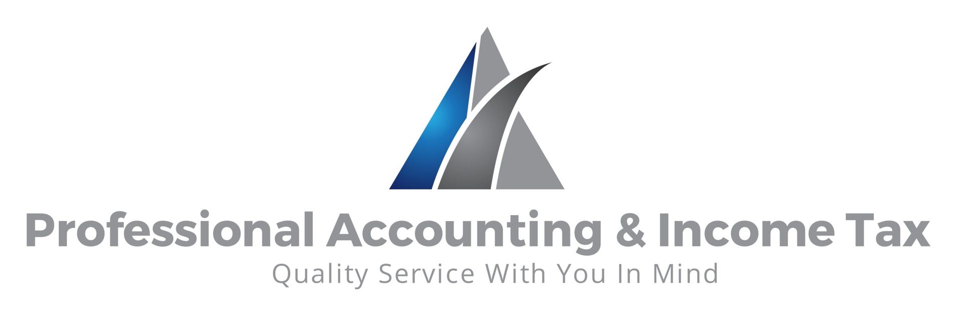 Professional Accounting & Income Tax logo