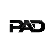 Professional Automotive Detailing and Window Tint logo