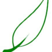 ProTouch - Carpet Cleaning Virginia Beach logo