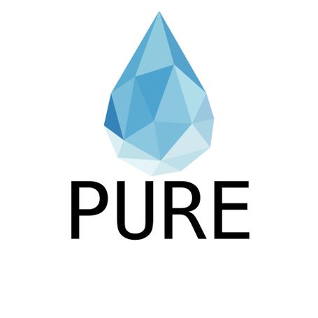 Pure Detailing | Window Tinting & Paint Protection Film logo