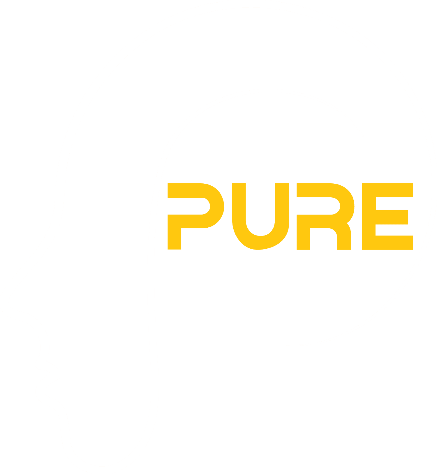 Pure Psychiatry of Michigan logo