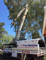 Q&T Tree Services logo