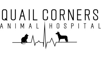 Quail Corners Animal Hospital logo