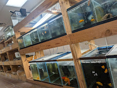Quality Aquatics Pet Shop logo