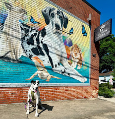 Queen City Animal Hospital logo