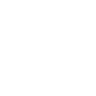 Reyes Auto Spa LLC logo
