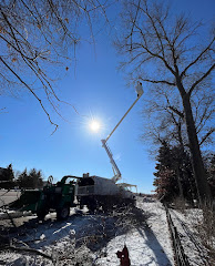 River City Tree Service LLC logo