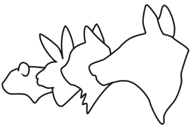 Rock Falls Veterinary Care logo