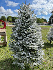 Santa’s Garden Flagler logo