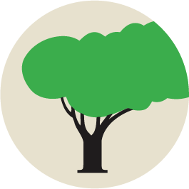 SavATree - Tree Service & Lawn Care logo