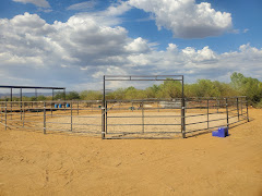 Seven Peaks Fence and Barn logo
