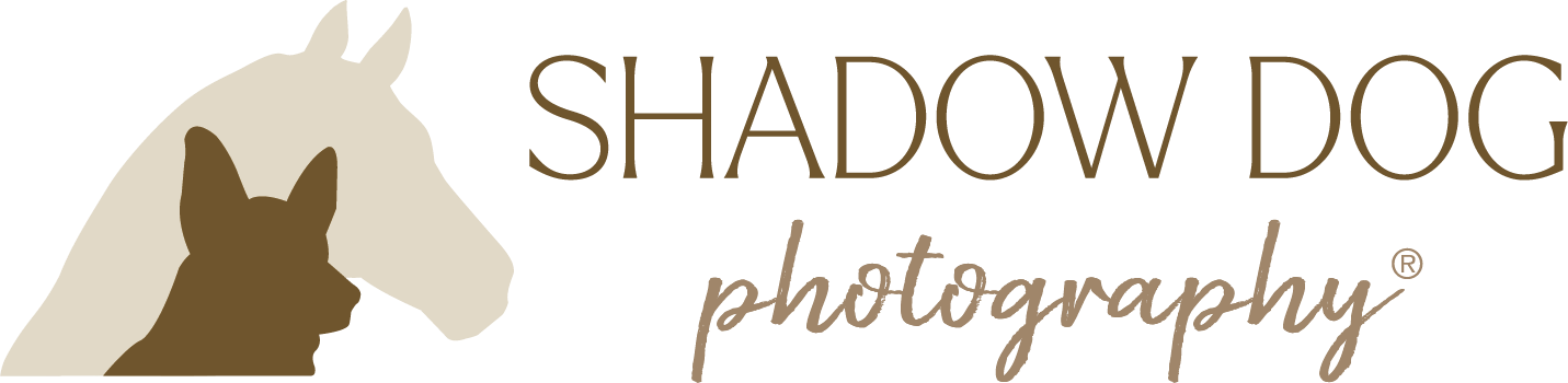 Shadow Dog Photography logo