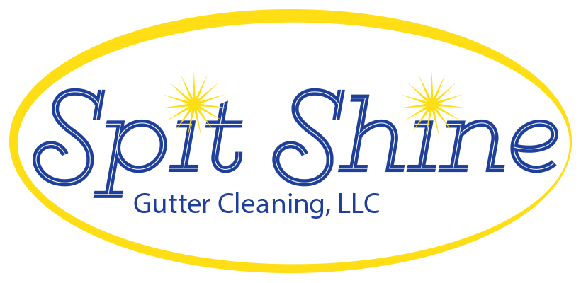 Shine Bright Lighting logo