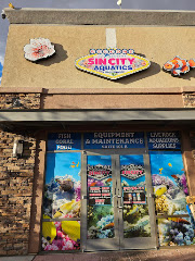 Sin City Aquatics & Maintenance logo