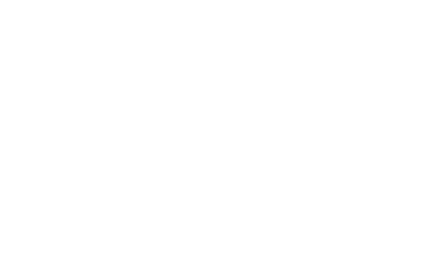 Soap & Steam Carpet Cleaning logo