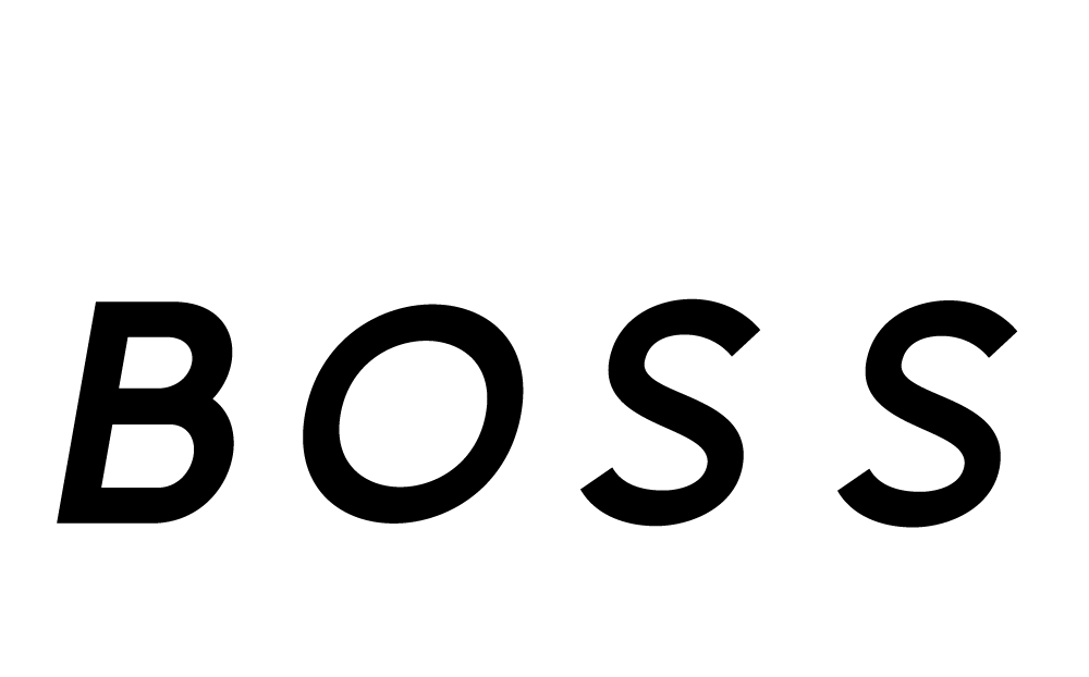SOLAR BOSS logo