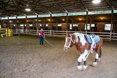 Son Rise Ranch logo