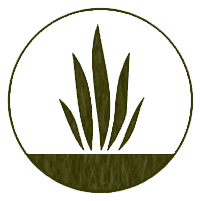 Song Institute of Allergy, Asthma and Immunology logo