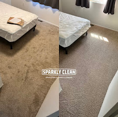 SPARKLY CLEAN LLC logo