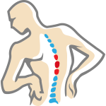 Sperbeck Chiropractic Corporation logo